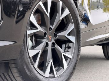 Cupra Terramar - 9