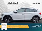 Skoda Kamiq Scoutline 1.5 TSI 110kW - Skoda Kamiq Jahreswagen