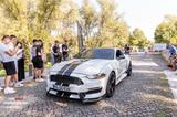 Ford Mustang GT 5.0 V8 (GT350 Umbau) - Ford Mustang: Gt350