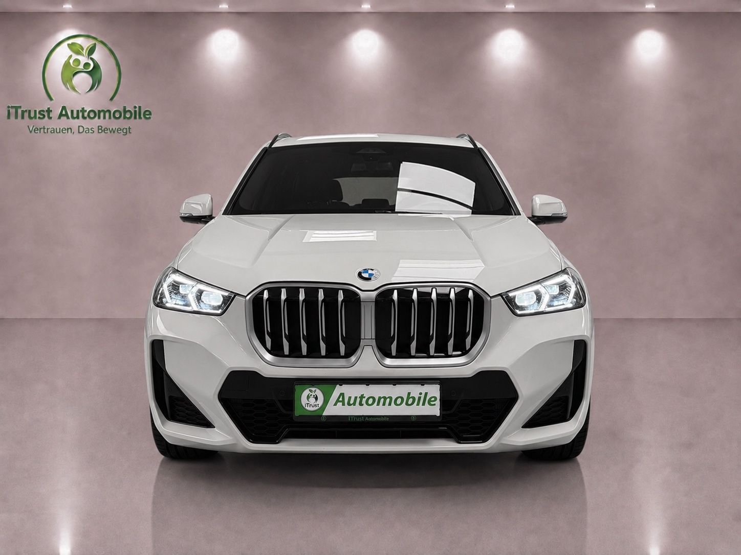 BMW X1 xDrive 23d M Sport LIC-PROF DA-PROF KAMERA foto 2