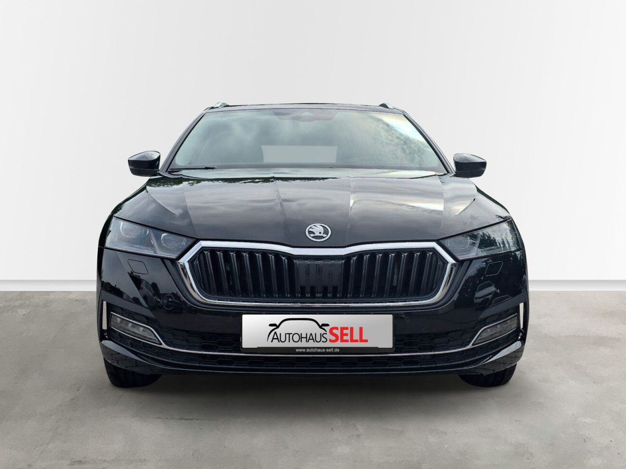Fahrzeugabbildung SKODA Octavia Combi Style