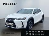 Lexus UX 250h Style Edition *Bi-LED*ACC*CAM*SHZ*CarPla - Lexus UX in Leipzig