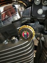 Harley-Davidson Sportster 1200 Custom Umbau 2.Hd D-Moto - Offers