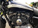 Harley-Davidson 1200 Custom  - HARLEY-DAVIDSON 1200 CUSTOM
