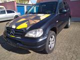Mercedes-Benz ML 320  AUTOGAS; AUTOMATIK , AHK, HU/AU NEU - Mercedes-Benz ML 320 aus 2001