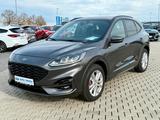 Ford Kuga Plug-In Hybrid ST-Line Styling Paket - Ford Kuga aus 2021