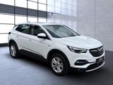 Opel Grandland X Business Elegance+LED+NAVI+LEDER+1.H - Opel: Winterreifen