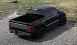 Ford F150 Raptor,MY25, AHK,HeadUp,VORLAUF 3,5 V6 - Ford: 15 M