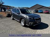 Subaru Forester Comfort - Subaru Forester Comfort mit Benzin-Antrieb