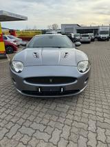 Jaguar XK Coupe / Cabriolet 4.2 Coupe - Jaguar XK: Coupé, 4.2