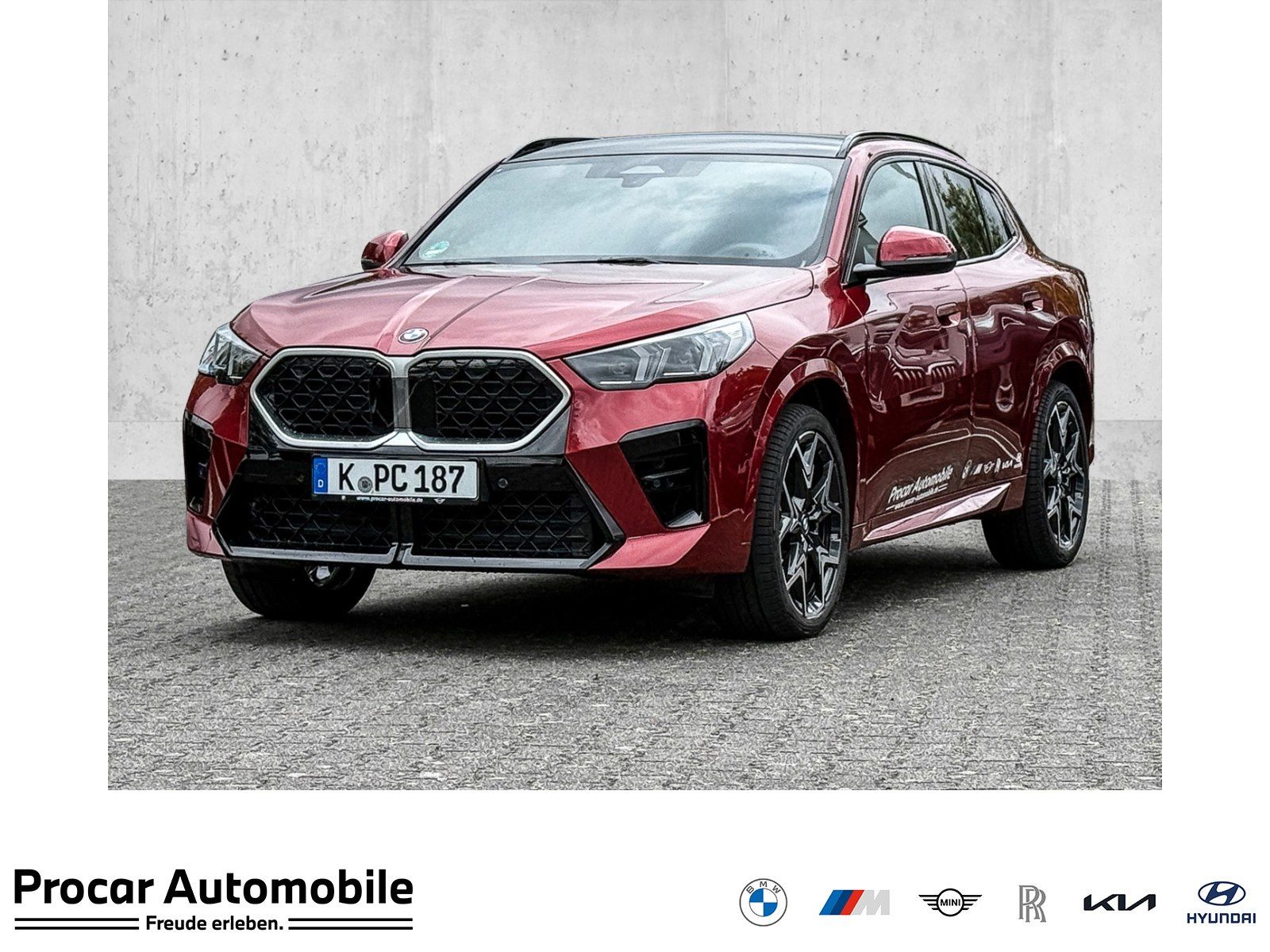 BMW X2 sDrive20i MSport + H/K + Pano + DApl + 20"