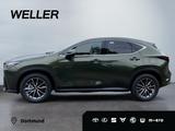 Lexus NX 450h+ E-FOUR Business *Bi-LED*360*Leder*SHZ 4 - Lexus NX 450h Gebrauchtwagen