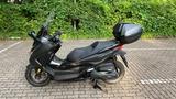 Honda Forza 350 Matt Cynos Gray "NEUWERTIG" - HONDA FORZA 350