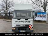 Iveco 75E14 Intercooler-Pferdetransport-gepflegt - Iveco 75 14