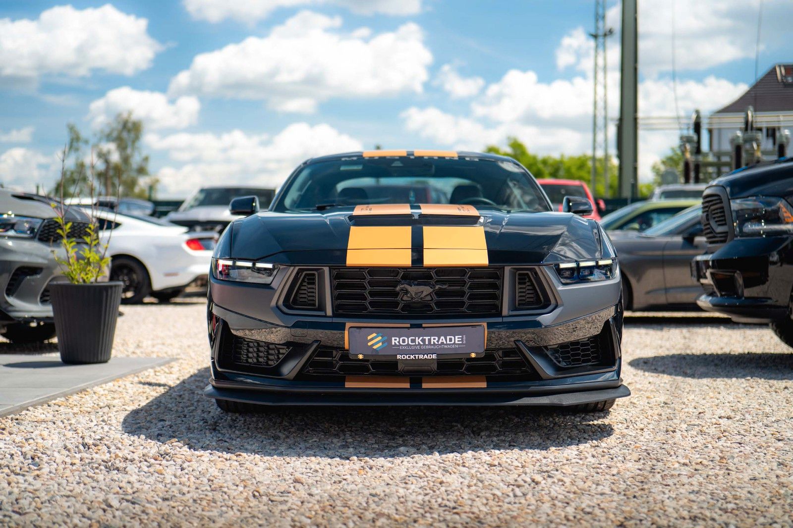 Fahrzeugabbildung Ford Mustang Fastback 5.0 Ti-VCT V8 Dark Horse 6-Gang