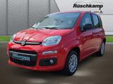 Fiat Panda Easy 1.2 8V  Klima Servo. el. fensterheber - Fiat Panda Gebrauchtwagen in Dortmund