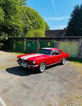 Ford Mustang Coupe 1966 - Ford Mustang in Hagen