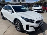 Kia XCeed 1,5/Klima/Navi CarPlay/Kamera/SitzHeiz/LED - gebrauchte Kia XCeed aus dem Jahr 2023