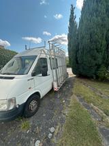 Volkswagen LT35 2,5TDI Glastransporter - Volkswagen Golf: Gl