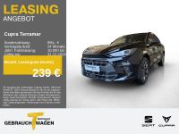 Cupra Terramar - Vorschau Bild 1