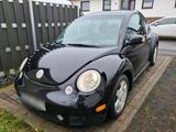 Volkswagen VW Beetle 1.8t Sport Edition - Volkswagen Beetle mit Benzin-Antrieb: 1.8
