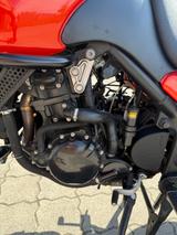 Triumph Tiger 955i - TRIUMPH TIGER 955I