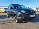 Fiat Panda 1.0 Hybrid CITY PLUS GARANTIE KLIMAANLAGE - Fiat Panda: Schwarz