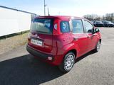Fiat Panda HYBRID 1.0 GSE 70PS PDC CITY PAKET RADIO 5 - Fiat Panda: Rot