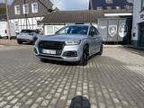 Audi SQ5 TDI tiptronic quattro - - gebrauchte Audi SQ5 aus dem Jahr 2019