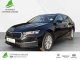 Skoda Octavia Combi Selection TDI DSG ACC+4xSHZ+NAVI - Skoda Octavia Tageszulassungen mit Diesel-Antrieb