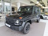 Mercedes-Benz G 350 d Professional KLIMA AHK - Mercedes-Benz: Professional