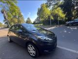 Ford Fiesta 1,25 60kW Ambiente - Ford Fiesta aus 2009: Ambiente