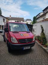 Mercedes-Benz 313 CDI Sprinter - Angebote