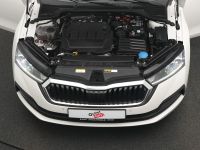 Skoda Octavia - Vorschau Bild 30