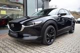 Mazda CX-30 2.5 6GS 140PS Homura Rückfahrkamera elektr - Mazda Neuwagen
