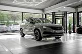 Skoda Karoq 2.0 TDI DSG Sportline 4x4 NAVI RFK LED SHZ - graue Skoda Karoq