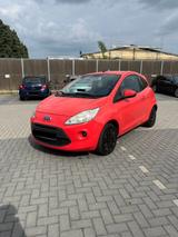 Ford Ka/Ka+ 1,2 Trend Trend *TÜV NEU* - Ford Ka/Ka+ in Mönchengladbach