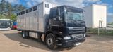 DAF CF75.360 Viehtransporter - DAF Cf 75
