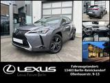 Lexus UX 250h Amazing Edition HYBRID * Sommer & Winter - Lexus UX aus 2020