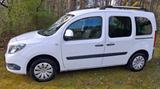 Mercedes-Benz Citan kurz - Van mit  Rundumverglasung - Mercedes-Benz Citan Gebrauchtwagen in Bielefeld