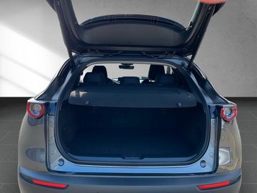 Mazda CX-30 2.0 M Hybrid Selection *ACC*SHZ*MATRIX*NAV