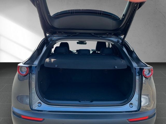 Mazda CX-30 2.0 M Hybrid Selection *ACC*SHZ*MATRIX*NAV