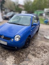 Volkswagen Lupo 1.0 BASIS Basis - VW Lupo Gebrauchtwagen in Hannover