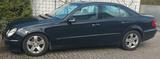 Mercedes-Benz Mercedes Benz E 270 CDI - Mercedes-Benz E 270: Limousine