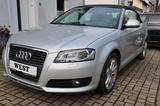 Audi A3 1.9 TDI Cabriolet Leder NAVI XENON 135 Tkm. - Audi A3 mit Diesel-Antrieb: 1.9