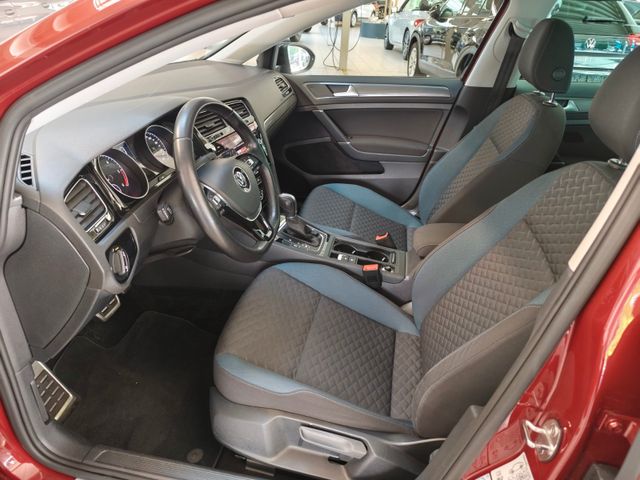Golf VII Variant IQ.DRIVE 1.6 TDI DSG