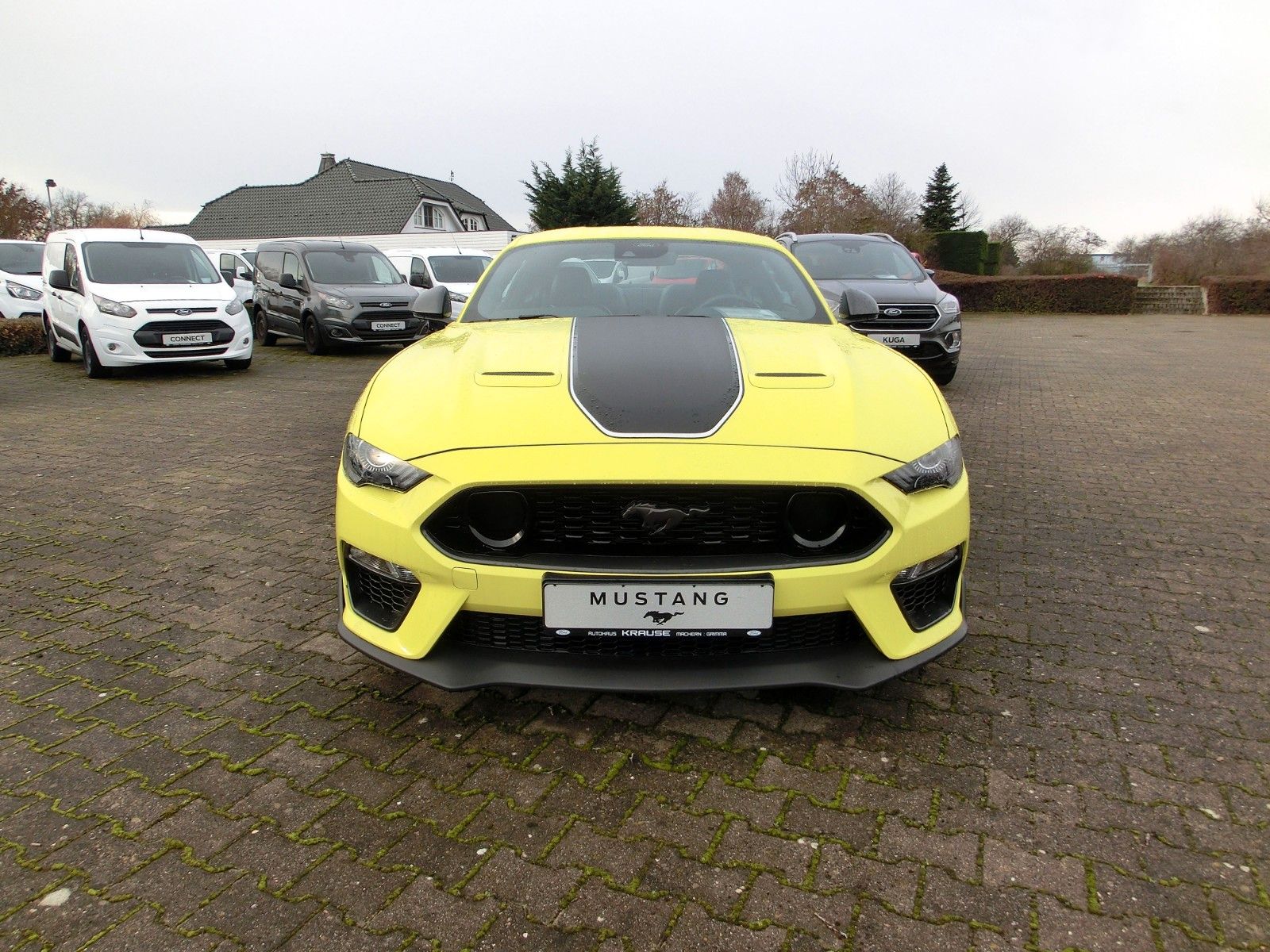 Fahrzeugabbildung Ford Mustang Mach 1 5.0l V8