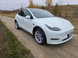 Tesla Model Y Hinterradantrieb RWD  - Tesla Model Y: Rwd