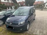 Volkswagen Caddy 1,2TSI 63kW Roncalli 5-Sitze Roncalli - Volkswagen Caddy mit Benzin-Antrieb: Kombi, 1.6