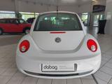 Volkswagen New Beetle 1.4 - Volkswagen New Beetle aus 2009